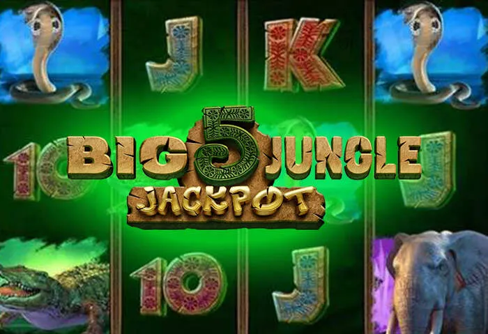 Diverse Casino Moon Zahlungsoptionen sicher nutzen.