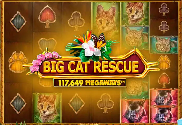 Ampia varietà di giochi su Casino Moon.