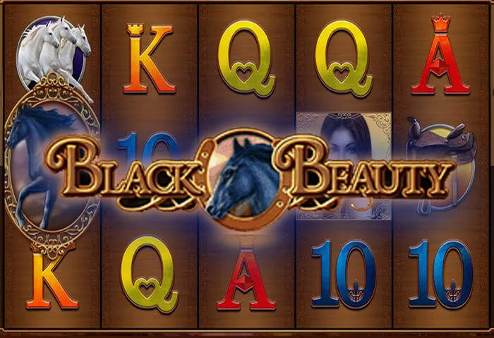 Problemlose Anmeldung über Casino Moon Login Button.