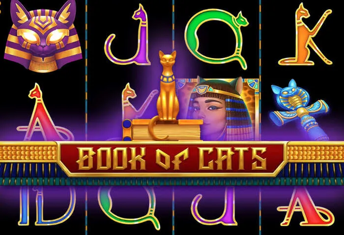 Casino Moon Inscription: Suivez le guide pour devenir membre et profiter des bonus.
